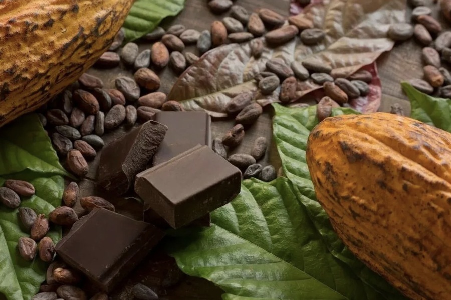 The Fascinating History of Chocolate: From Ancient Ritual to Modern Delight